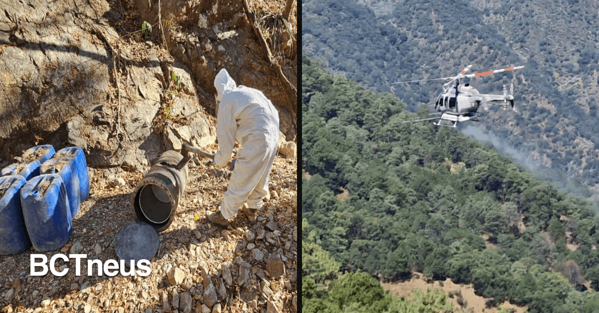 BCTneus - Articulo - Desmantelan laboratorios clandestinos y destruyen plantíos de droga en operativos de seguridad