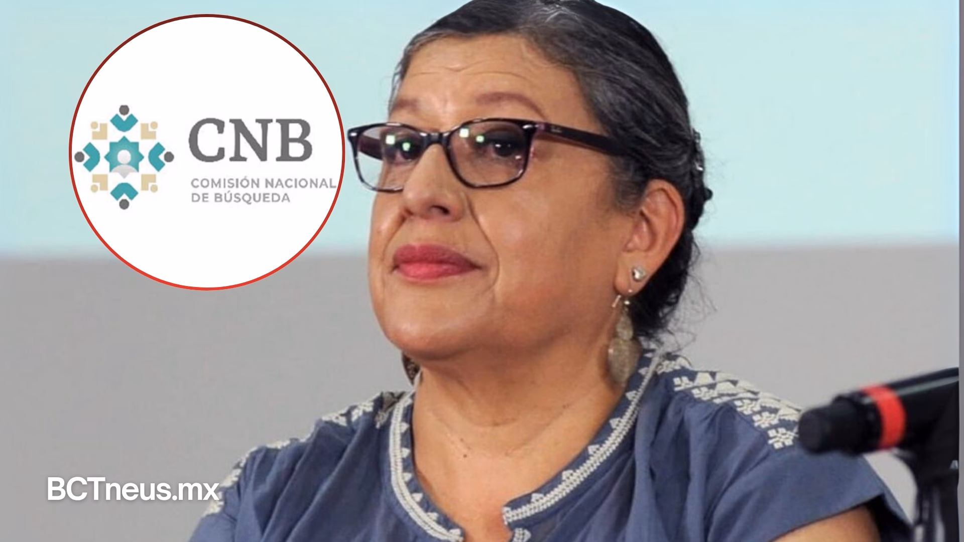 Articulo - Teresa Reyes renuncia a Comisión Nacional de Búsqueda