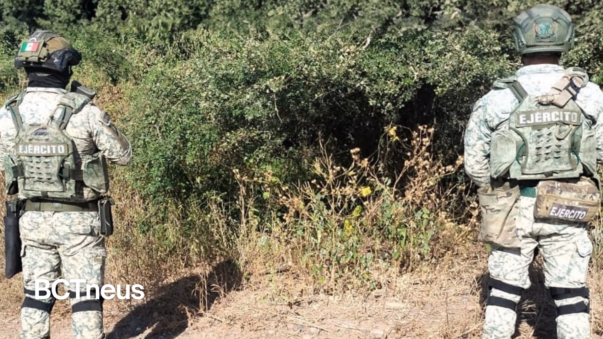 Articulo - Operativos federales dejan 13 agresores abatidos y rescate de personas en Sinaloa