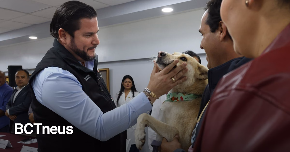 Articulo - Burgueño da voz a los seres sintientes con nuevo Consejo de Protección Animal