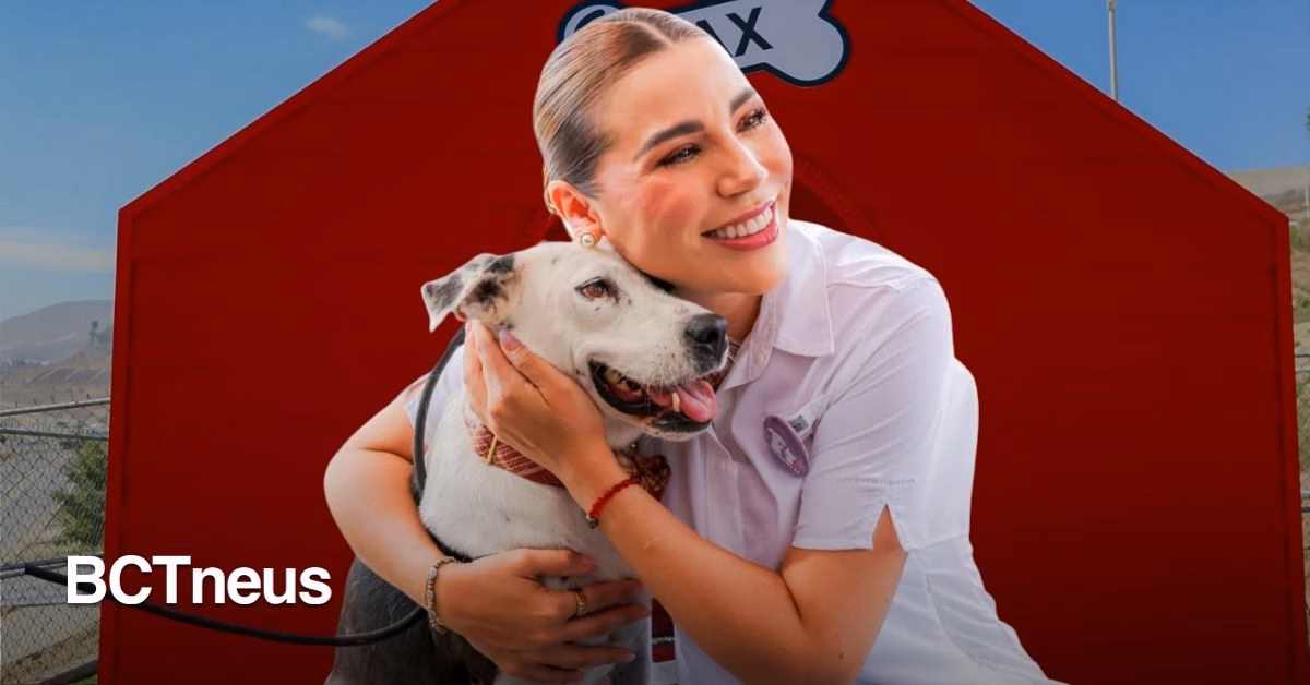 Articulo - Baja California, referente nacional de bienestar animal: Marina del Pilar