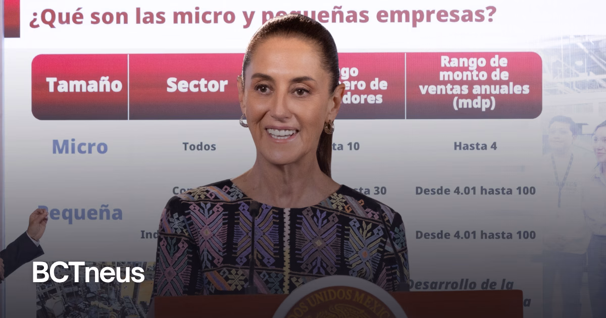 Articulo - Sheinbaum anuncia facilidades fiscales y créditos para micro y pequeñas empresas