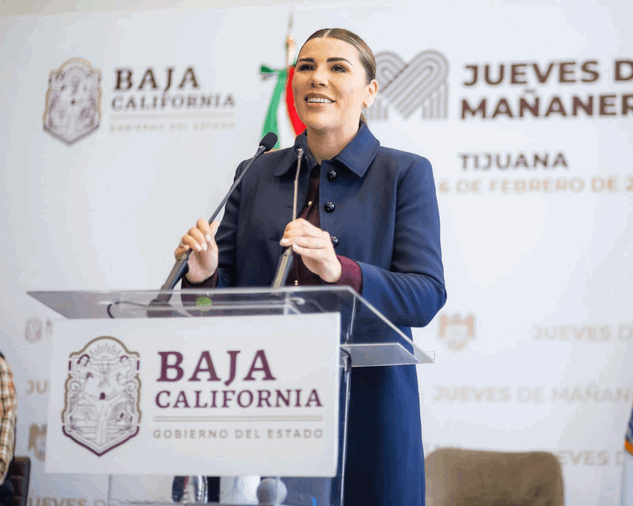 Marina del Pilar trabajará en 53 zonas prioritarias de BC este 2025 ...