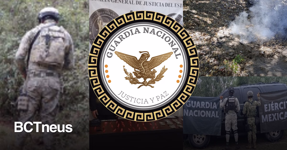 Articulo - Destruyen 228 plantíos y aseguran 272 kg de marihuana en 14 estados
