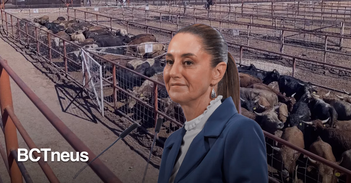 Articulo - Sheinbaum anuncia acuerdo técnico con EE. UU. para contener gusano barrenador