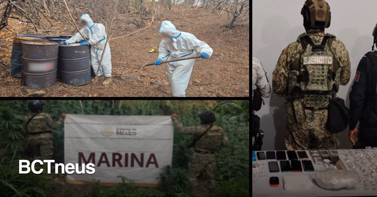 Articulo - Más de 20 estados involucrados en operaciones contra el crimen organizado