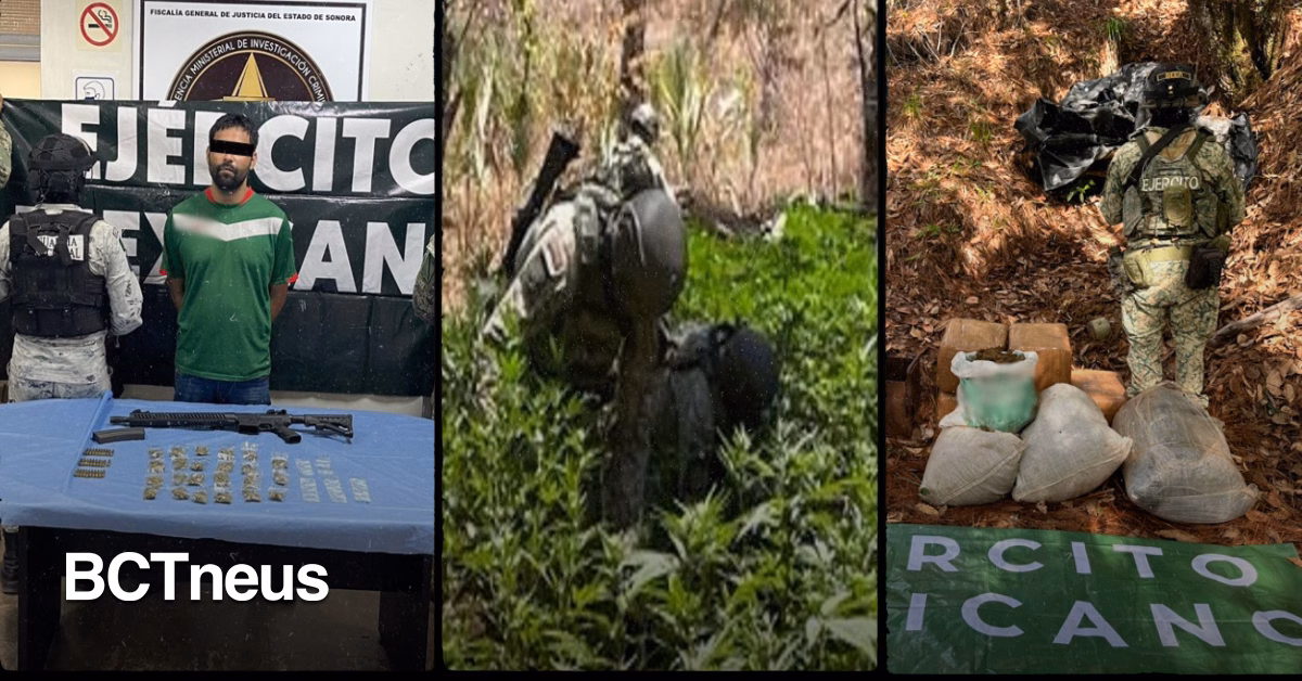 Articulo - Más de 36 millones de pesos en afectaciones al crimen organizado y 85 mil litros de hidrocarburo asegurados