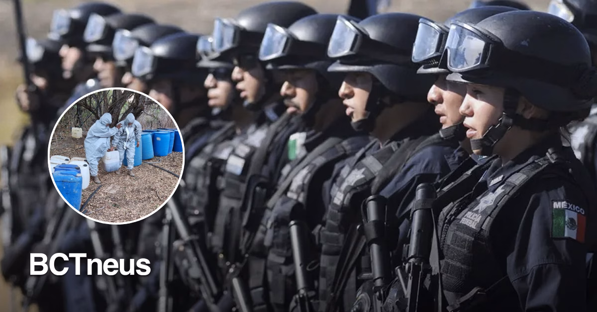 Articulo - Aseguran drogas, armas y combustible en 15 estados