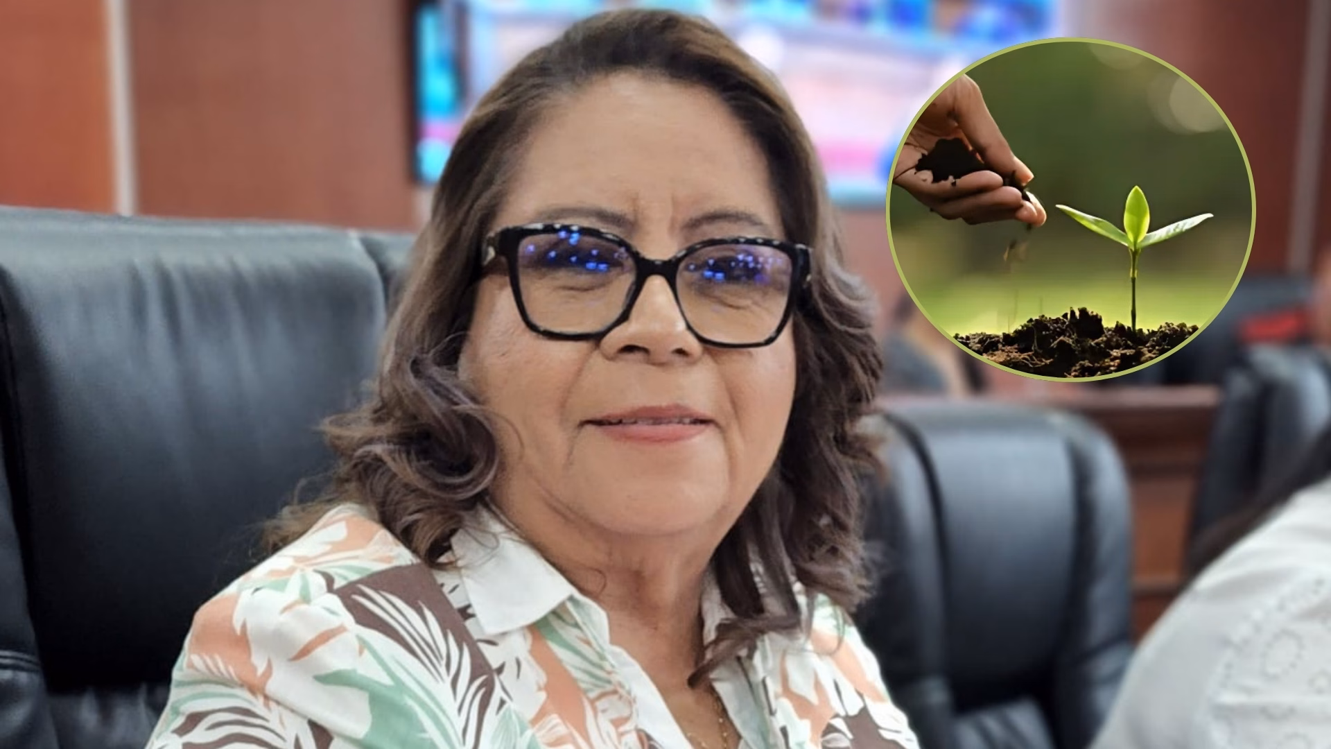 Articulo - Diputada logra aprobar aumento de penas por daños a áreas protegidas