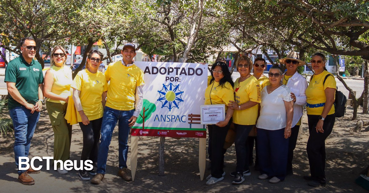 Articulo - Gobierno de Tecate y ANSPAC Embellecen el Camellón 29