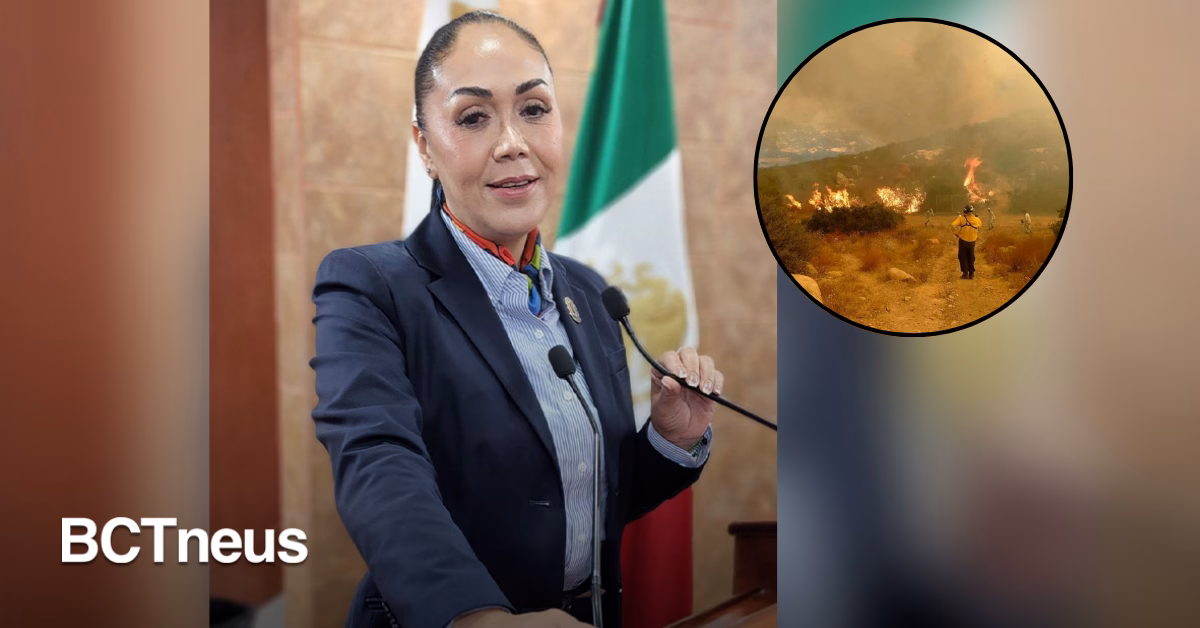 Articulo - Baja California refuerza combate a incendios con campañas permanentes preventivas