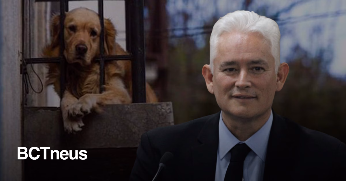 Articulo - Prisión para secuestradores de mascotas, propone Jorge Ramos
