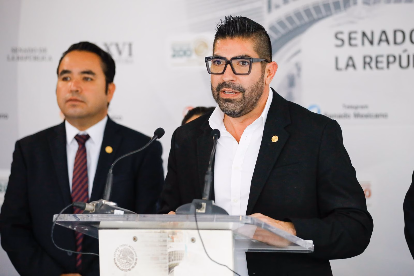 Articulo - Senador Armando Ayala respalda Comisión Presidencial para la Reforma Electoral