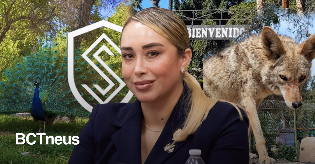 Articulo - Revisa Síndica Balderas vida animal en Parque Morelos