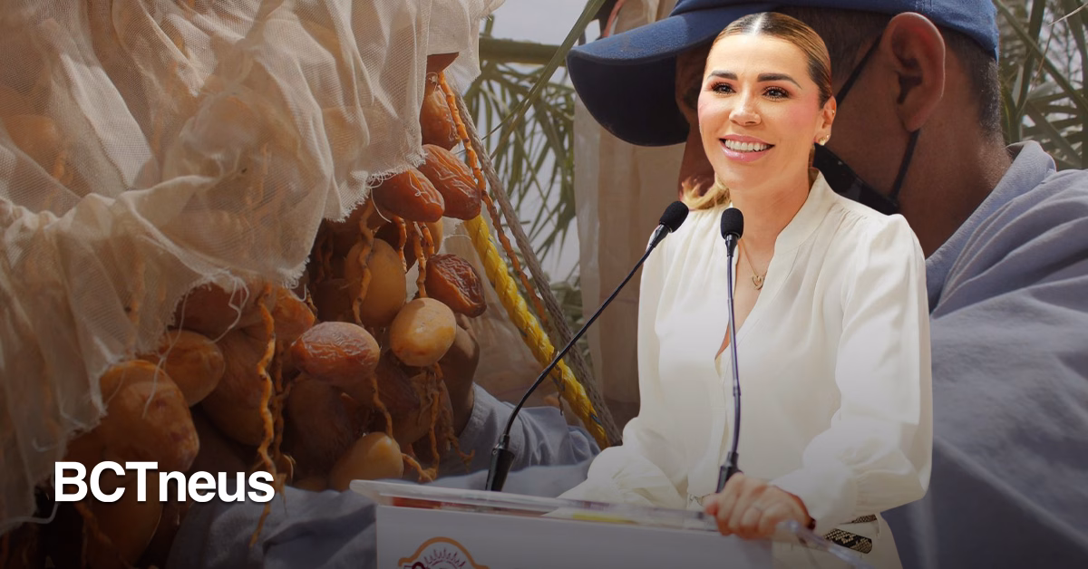 Articulo - BC es líder en producción y venta del dátil: Marina del Pilar