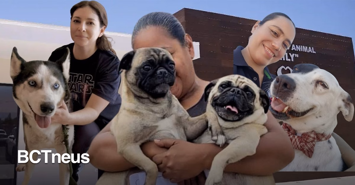 Articulo - Anuncian nuevo refugio para mascotas que buscan un hogar cerca de Tijuana