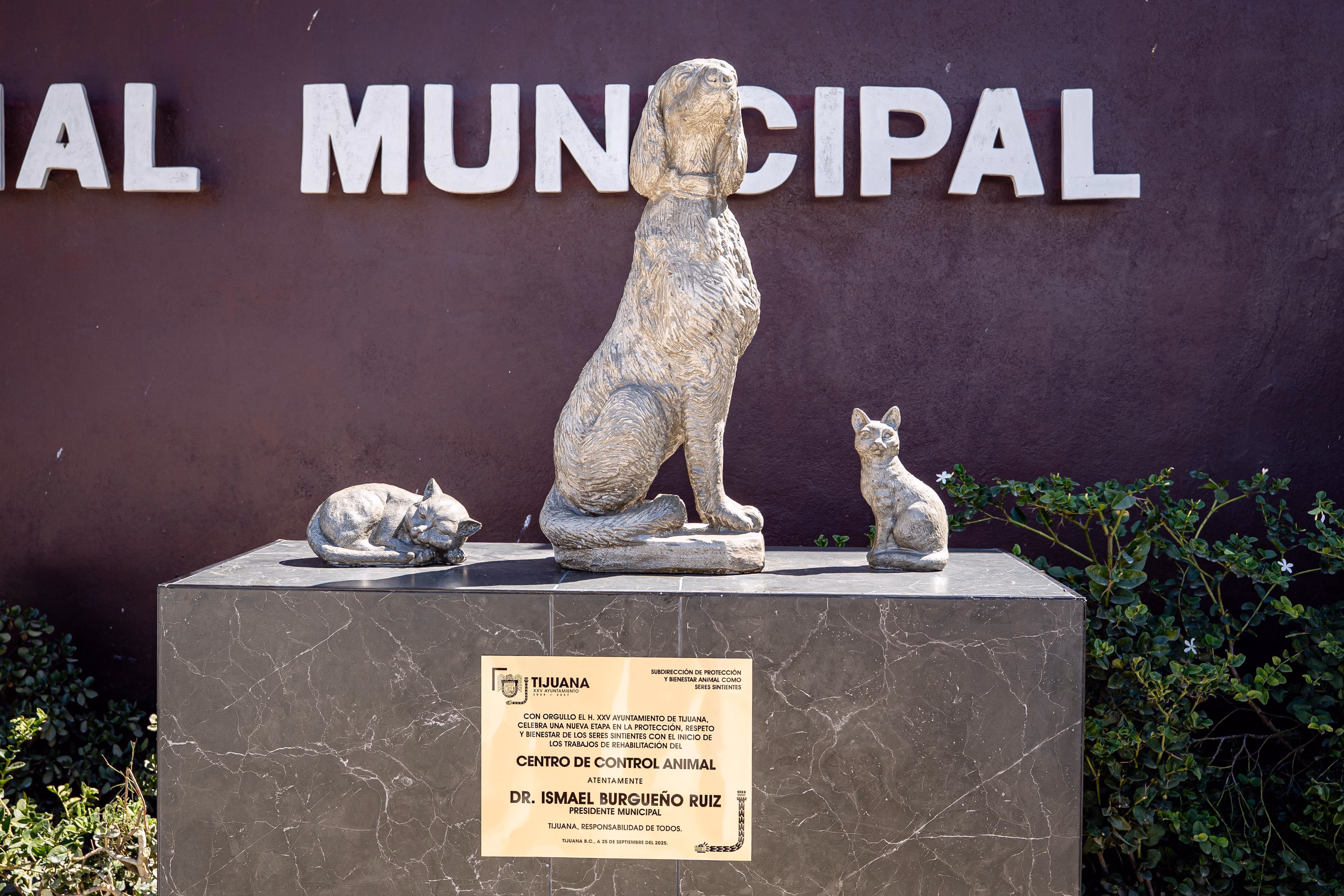 Articulo - Cero tolerancia al matrato animal: Burgueño