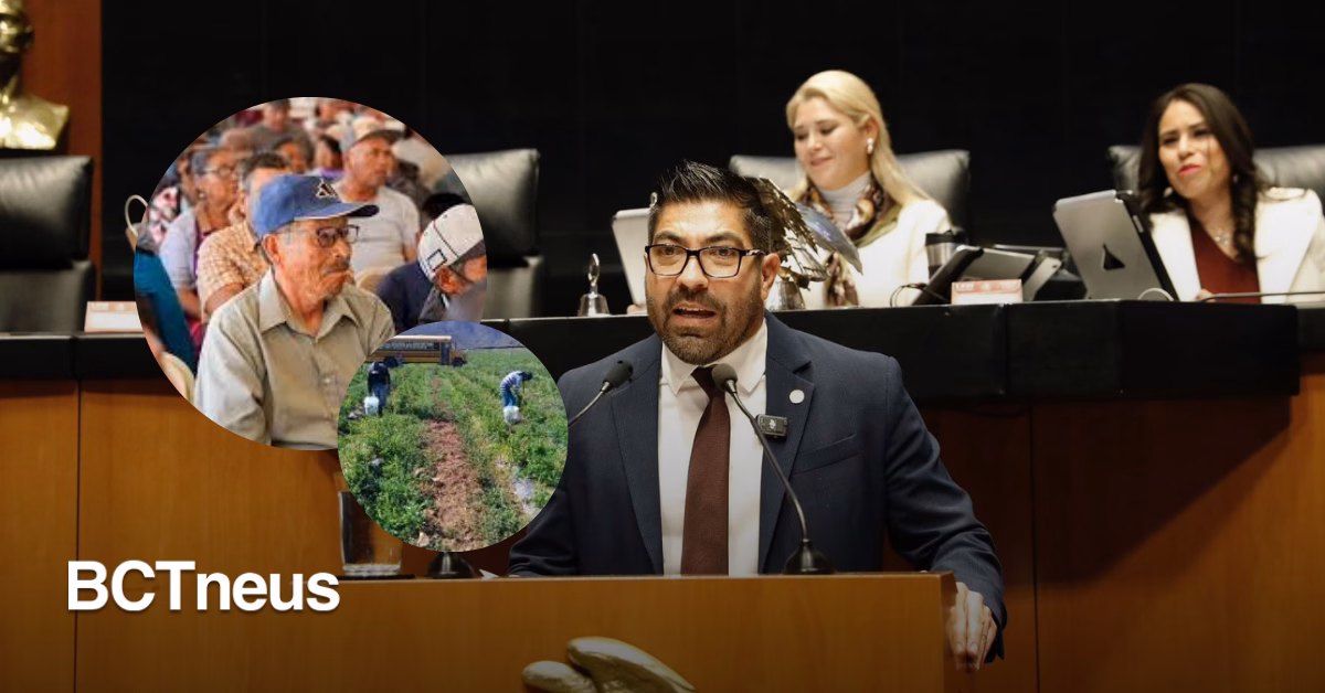 Articulo - Justicia social desde el territorio: Armando Ayala respalda a adultos mayores