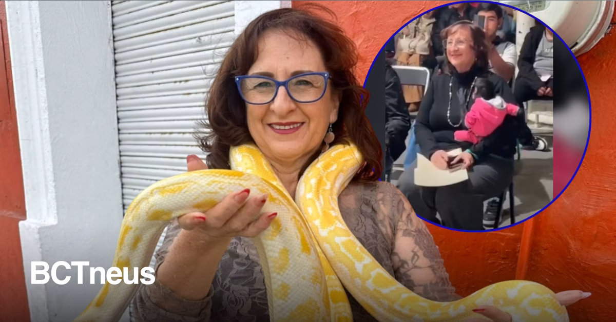 Articulo - Regidora denunciada por Profepa solicita licencia tras difusión de video con mono araña