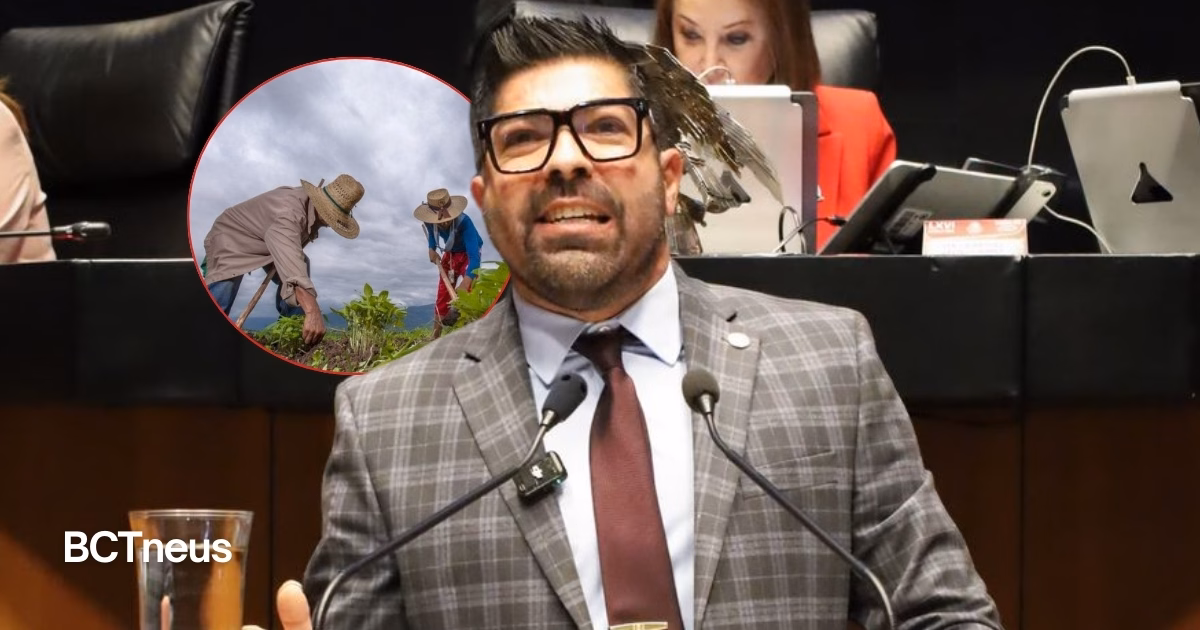 Articulo - Armando Ayala busca régimen especial de información sobre créditos para recuperar el campo mexicano