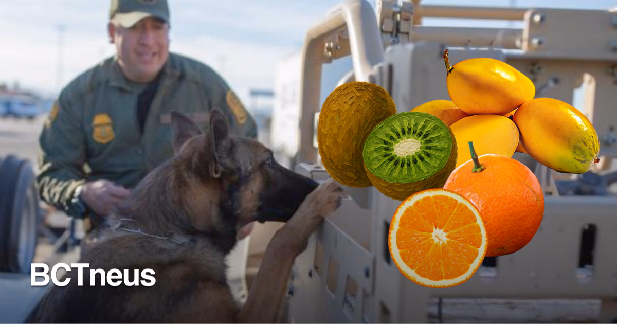 Articulo - Le revocan la SENTRI y le dan $500 de multa por llevar frutas