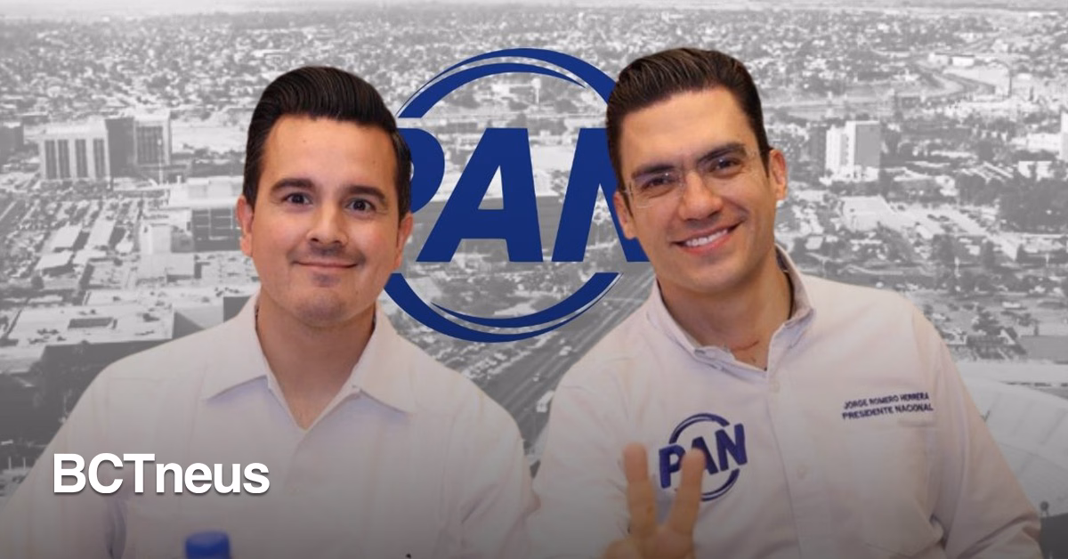 Articulo - Macalpin asoma el copete a "candidaturas ciudadanas" del PAN, ¿van por Mexicali?