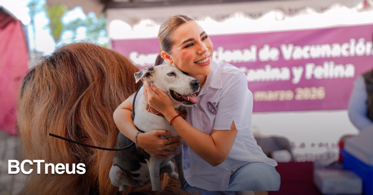 Articulo - Servicios gratuitos para mascotas más cerca de las familias de BC: Marina del Pilar