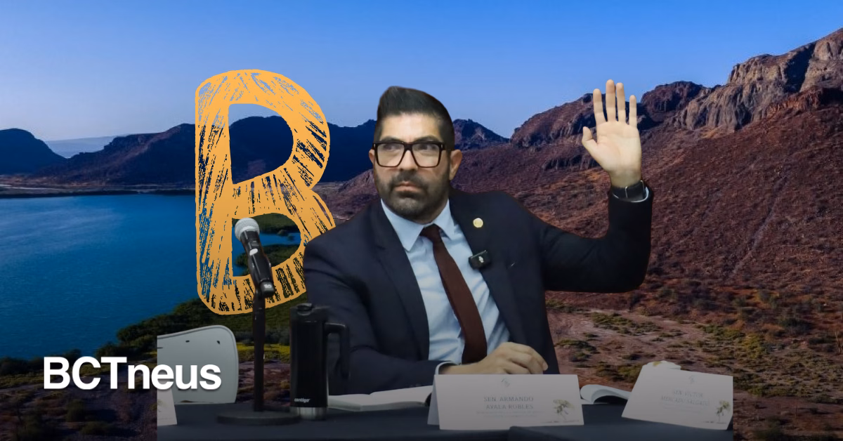 Articulo - Ayala celebra aprobación del Plan B de Claudia Sheinbaum