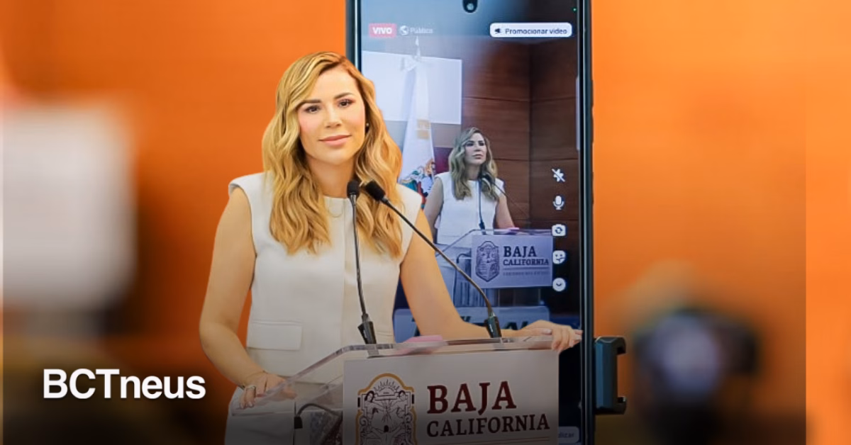 Articulo - Marina del Pilar destaca proyectos de bienestar en conjunto con Claudia Sheinbaum