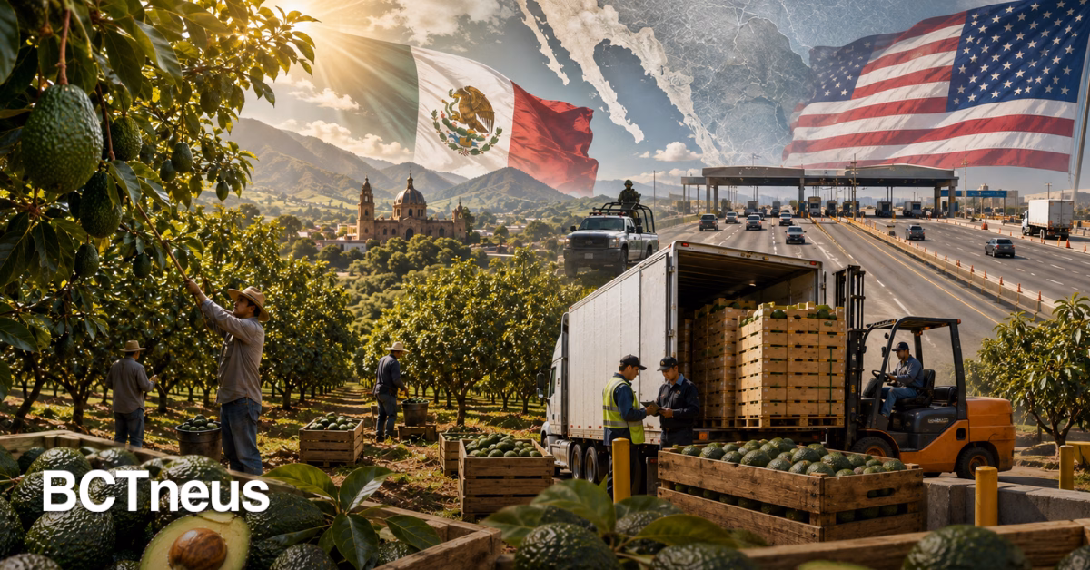Articulo - Se destraba el aguacate: Michoacán reactiva sus envíos a EE. UU.