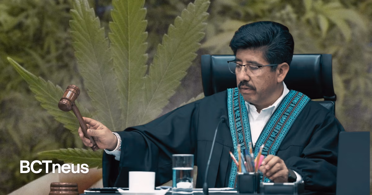 Articulo - SCJN autoriza preparar alimentos con cannabis para consumo recreativo y personal