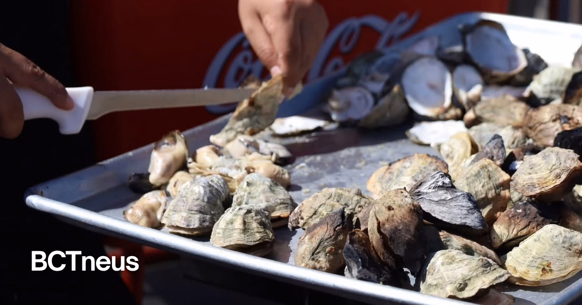 Articulo - ¡Con hambre y sin vergüenza! San Quintín ofrecerá bacanal de ostiones y almejas ilimitado en festival gastronómico